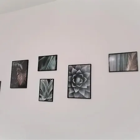Tree Modern Гостевой дом *